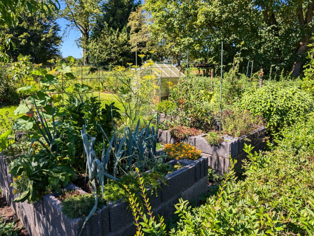 Hochbeete und Gewächshaus